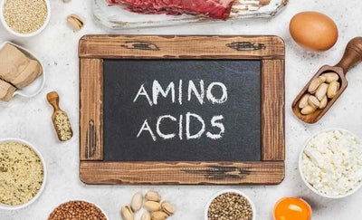 The Importance of Amino Acids in Your Health