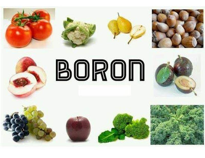 The Importance of Boron in Your Diet