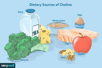 The Importance of Choline in Your Diet