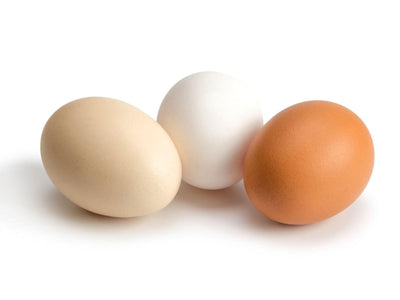 The Importance of Egg Collagen