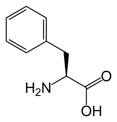 The Importance of Phenylalanine