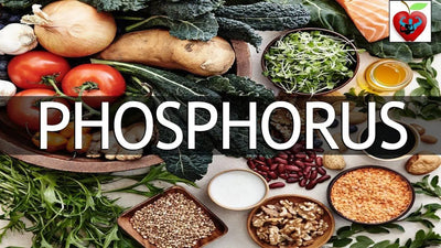 The Importance of Phosphorus in the Body