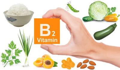 The Importance of Vitamin B2 for Your Health