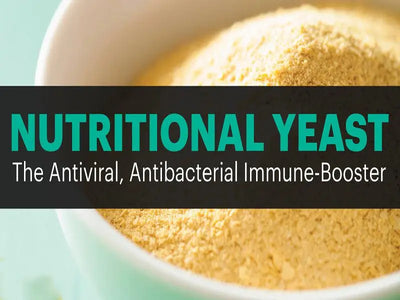 Introduction to Nutritional Yeast