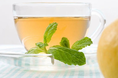 Introduction to Spearmint Tea