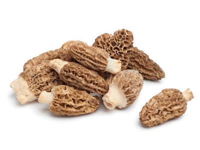 King of Mushrooms: Morel’s Health Benefits