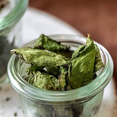 How to Dry Mint at Home Naturally: Easy Methods for Fresh Flavor All Year