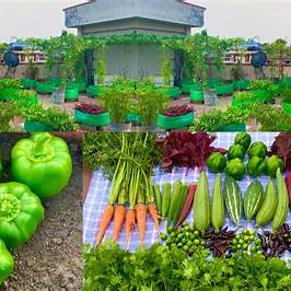 Get a Bountiful Garden Harvest with a Smart Gardening Hack