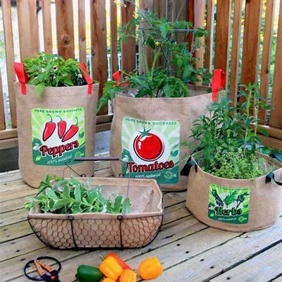 Unlock Your Garden's Potential: The Amazing Benefits of Used Tea Bags for Peppers, Tomatoes, and More!