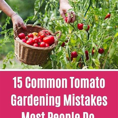 7 Common Tomato Growing Mistakes and How to Avoid Them for a Healthy Harvest