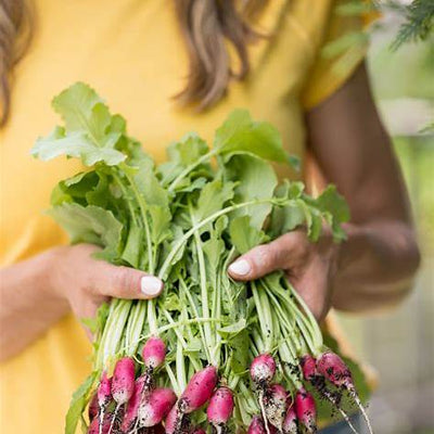 Fast-Growing Vegetables You Can Harvest in Under a Month: Quick Garden Wins