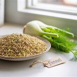 The Real Magic of Fennel Seeds: 7 Ways They Quietly Heal Your Body