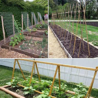 Unlock Your Garden's Potential: The Vertical Revolution for Cucumbers, Pumpkins, and Squash