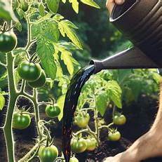 Unlock Your Garden's Potential: The Undeniable Power of Natural Fertilizers for Bountiful Tomatoes, Cucumbers, and Peppers in 2025