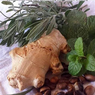 Natural Migraine Relief: Effective Home Remedies That Actually Work