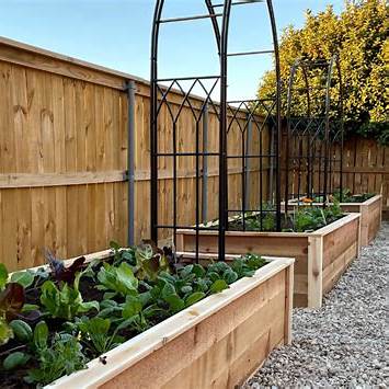 Top 7 Raised Bed Gardening Mistakes to Avoid for Lush, Productive Gardens