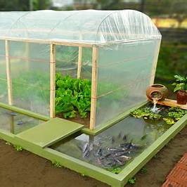The Ultimate DIY Aquarium Greenhouse: Cultivating Aquatic Vegetables Year-Round in 2025