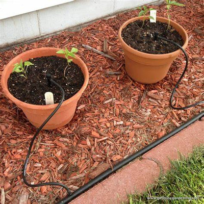 How to Build a Home Automatic Drip Irrigation System That Works Perfectly