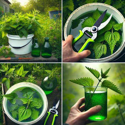 The Ultimate Guide to Nettle Fertilizer & Insecticide: DIY, Benefits & Best Practices