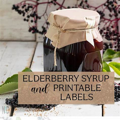 How to Make Elderberry Syrup at Home: Your Comprehensive Guide to This Natural Immune Booster