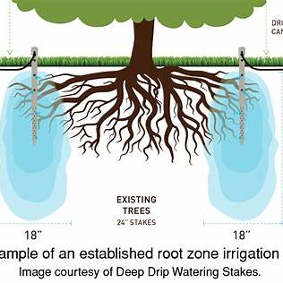 Mastering Tree Fertilization: Essential Techniques for Healthy Growth