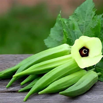 10 Things to Know About Okro: The Slippery Superstar of African Kitchens