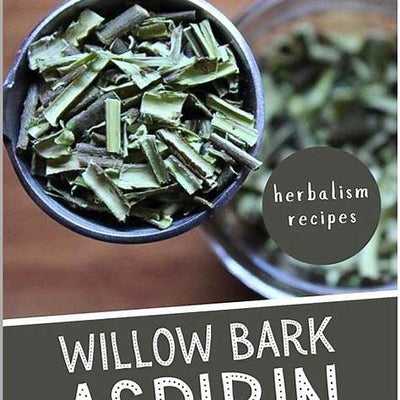 Willow Bark: Unveiling Nature’s Original Pain Reliever and the Birth of Aspirin