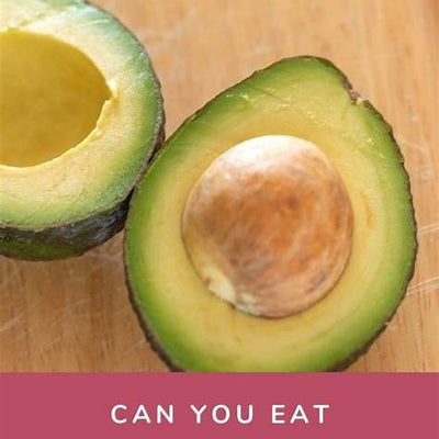 Avocado Seeds: Unlocking a World of Surprising Health Benefits You’ve Been Throwing Away