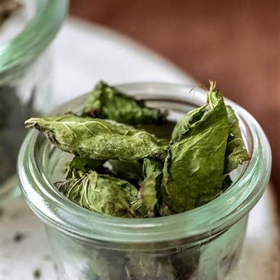 How to Dry Mint at Home Naturally: A Comprehensive Guide to Preserving Fresh Flavor