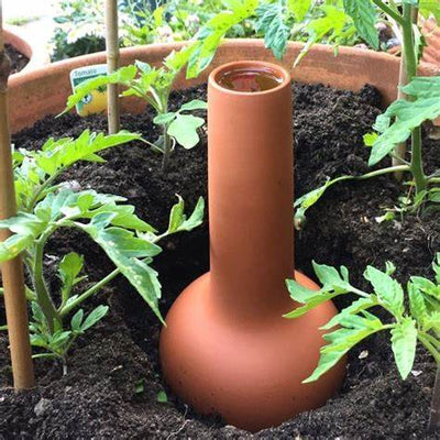 Ollas: Ancient Wisdom for Super-Efficient Garden Irrigation