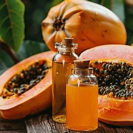 Papaya Sap: Nature’s Healing Elixir for Digestive, Skin, and Garden Wellness