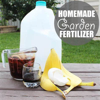 Unlock Your Garden's Potential: 12 Effortless Homemade Fertilizers You Can Make Today!