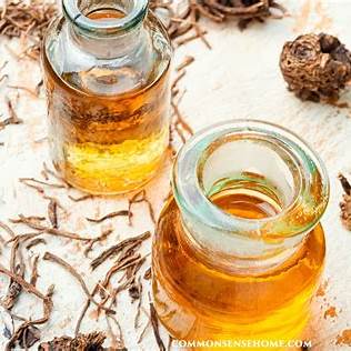 Valerian Root Benefits and Uses: A Natural Remedy for Better Sleep and Calm