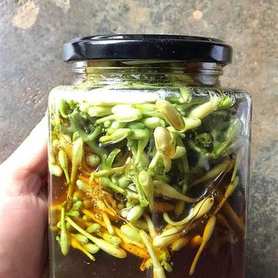 Papaya Flowers Soaked in Honey: Nature’s Hidden Remedy for Balance and Vitality in 2025