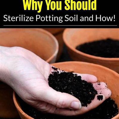 Mastering Garden Health: A Comprehensive Guide to Sterilizing Your Soil Against Pests