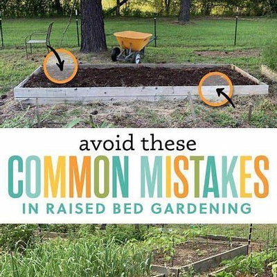 Top 7 Raised Bed Gardening Mistakes to Avoid for a Lush, Productive Garden