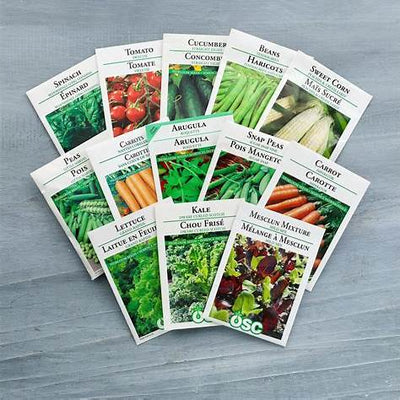 Your January Gardening Almanac: Six Essential Vegetable Seeds to Sow Now for an Unbeatable Early Harvest