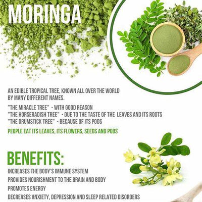 12 Powerful Benefits of Moringa Seeds: From Nutrition to Healing in 2025