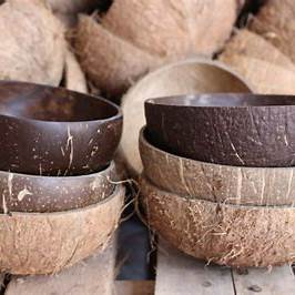 From Tropical Treasure to Timeless Treasures: Creative and Sustainable Ways to Reuse Coconut Shells