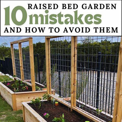 Top Raised Bed Gardening Mistakes to Avoid for Lush, Productive Gardens
