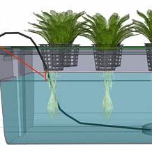 DIY Hydroponics Growing System – Build Your Own Soil-Free Garden at Home in 2025: The Ultimate Guide