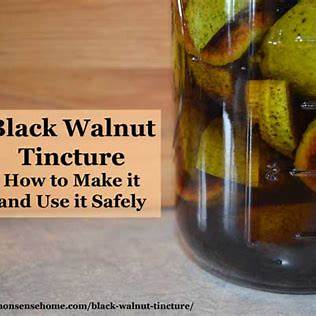 Black Walnut Tincture: A Deep Dive into Benefits, Uses, and DIY Preparation