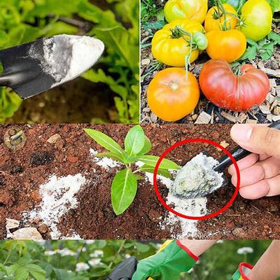 Effective DIY Natural Pesticides to Stop Plant Parasites: A Comprehensive Guide for 2025 Gardens