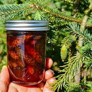 How to Make Pinecone Jam: A Wildcrafted Treat with Health Benefits