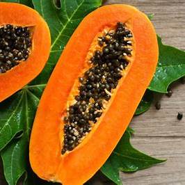 Unlocking the Powerhouse: An In-Depth Exploration of Papaya Seed Benefits
