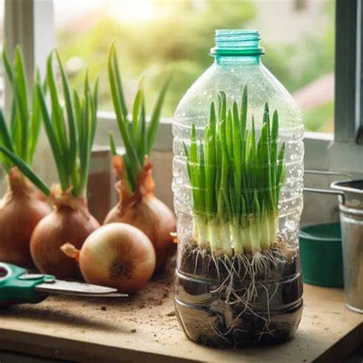 Mastering the Art of Growing Green Onions in a Plastic Bottle: A Sustainable Kitchen Garden Triumph