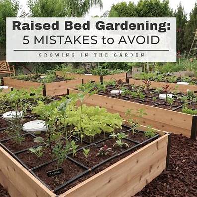 Avoid These Top Raised Bed Gardening Mistakes for a Lush, Productive Garden