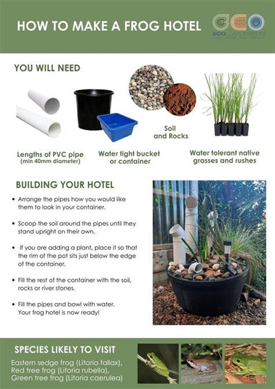 How to Build a Frog Hotel in Your Garden: Why It Matters & Step-by-Step Guide for 2025