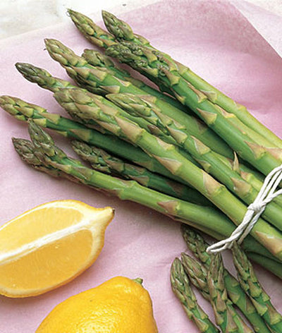 How to Grow Asparagus: Your Comprehensive Guide to a Bountiful Harvest
