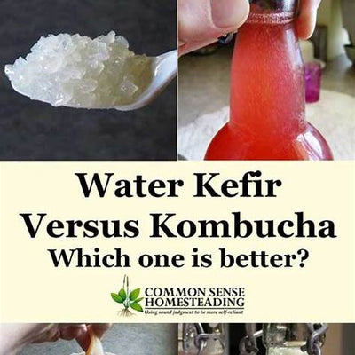 Water Kefir vs Kombucha: A Comprehensive Guide to Choosing the Right Fermented Drink for You in 2025